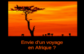 Envie d un_voyage_en_afrique