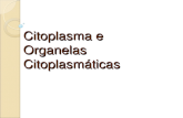 Citoplasma e organelas citoplasmaticas