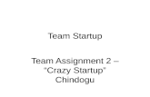 Team assignment 2 - Chindogu - Team Startup