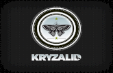 Kryzalid Presentation Agence