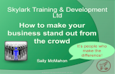 Sally McMahon Skylark Training BforB Spotlight Presentation February 2015