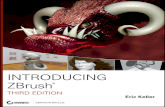Introducing ZBrush - Buch.de .Introducing ZBrush (first and second editions), Mastering Maya 2009,