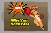 why choose Ubites Technologies for Affordable SEO services