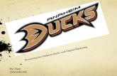 Anaheim Ducks Final