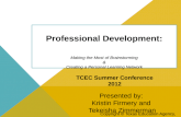 Professional Development: Brainstorming & Personal Learning Network