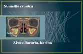 Sinusitis cronica