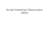 small intestinal obstruction