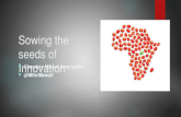 Sowing the seeds of innovation - Cherubim Mawuli Amenyedor