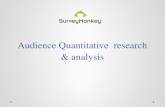 Audience Quantitative Research & Analysis