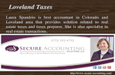 Loveland Taxes Preparer