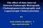 The effect of time interval between endoscopic retrograde