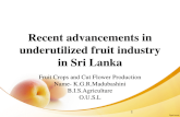Underutilized fruit crops