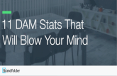 11 DAM Stats That Will Blow Your Mind