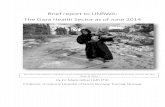 Final Report - Gaza Health Sector June-July 2014 - Mads Gilbert