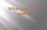 What can you see
