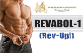 Natural Energy Supplement | Revabol-1 Energy Enhancer