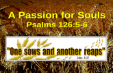 A Passion For Souls
