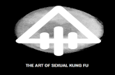 Sexual Kungfu