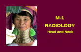 M-1 RADIOLOGY Head and Neck. OBJECTIVES Skull, Sinus and Orbit anatomy Vascular anatomy Neck anatomy Clinical cases