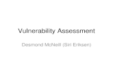 Vulnerability Assessment Desmond McNeill (Siri Eriksen)