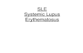 SLE Systemic Lupus Erythematosus. Systemic lupus erythematosus (disseminated lupus erythematosus, lupus) is a chronic inflammatory connective tissue