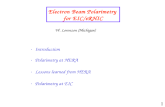 1 Electron Beam Polarimetry for EIC/eRHIC W. Lorenzon (Michigan) Introduction Polarimetry at HERA Lessons learned from HERA Polarimetry at EIC