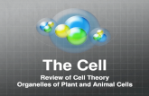The Cell Review of Cell Theory Organelles of Plant and Animal Cells