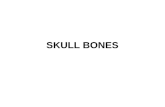 SKULL BONES. Cranial Bones Facial Bones CRANIAL BONES 8 Cranial Bones
