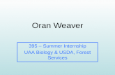 Oran Weaver 395 â€“ Summer Internship UAA Biology & USDA, Forest Services