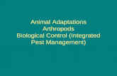 Animal Adaptations Arthropods Biological Control (Integrated Pest Management)