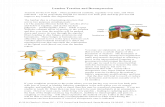 Lumbar Traction and Decompression - Information/Lumbar Traction and...  Lumbar Traction and Decompression