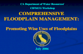 COMPREHENSIVE FLOODPLAIN MANAGEMENT : Promoting Wise Uses of Floodplains CA Department of Water Resources/ CIFMCG Workshop July 2006