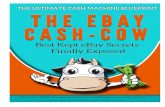 Ebay Cash Cow