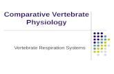 Comparative Vertebrate Physiology Vertebrate Respiration Systems
