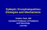 Epileptic Encephalopathies: Etiologies and Mechanisms Kristen Park, MD Assistant Professor of Pediatrics and Neurology UCHSC