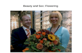 Beauty and Sex: Flowering. Flowers are derived from the process of transition from vegetative to generative meristems