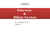1 Dr. Zeenat & Dr. Vohra Pancreas & Biliary System Pancreas & Biliary System