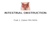 INTESTINAL OBSTRUCTION Fadi J. Zaben RN MSN. Overview: The small intestine and colon are components of digestive tract, which processes the foods what