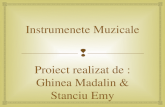 Instrumente Muzicale.pptx
