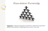 Population Pyramids Objective: Interpret population pyramids to determine population patterns and specific challenges that country may face