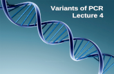 Variants of PCR Lecture 4. Colony PCR Multiplex PCR Nested PCR Reverse transcriptase PCR Quantative PCR Hot Start PCR Touch down PCR
