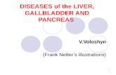 1 DISEASES of the LIVER, GALLBLADDER AND PANCREAS V.Voloshyn (Frank Netterâ€™s illustrations)
