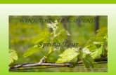 WINE TOUR TO SLOVENIA Spring Tour. Wine tour map