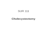 SUR 111 Cholecystectomy. Anatomy of the Biliary System