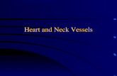 Heart and Neck Vessels. Cardiovascular System Heart & Blood Vessels Pulmonary Circulation Systemic Circulation