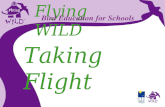 Flying WILD Bird Education for Schools Taking Flight