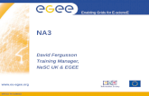 INFSO-RI-508833 Enabling Grids for E-sciencE   NA3 David Fergusson Training Manager, NeSC UK & EGEE