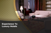 Experience to Luxury Hotels
