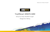 TryItNow! ANSYS AIM .1 © 2015 ANSYS, Inc. August 29, 2016 ANSYS Confidential TryItNow! ANSYS AIM