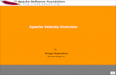 1 Apache Velocity Overview Dinagar Raghunathan by